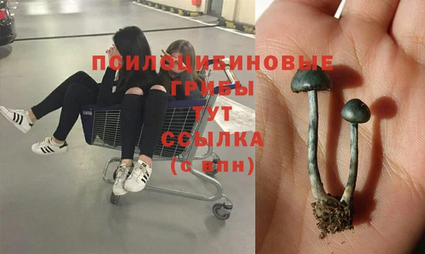 хмурый Абдулино