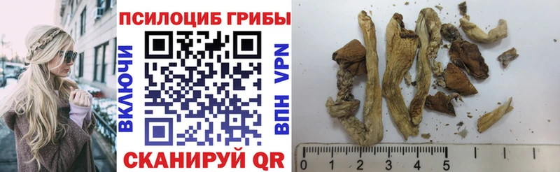 Галлюциногенные грибы Psilocybe Щёлково